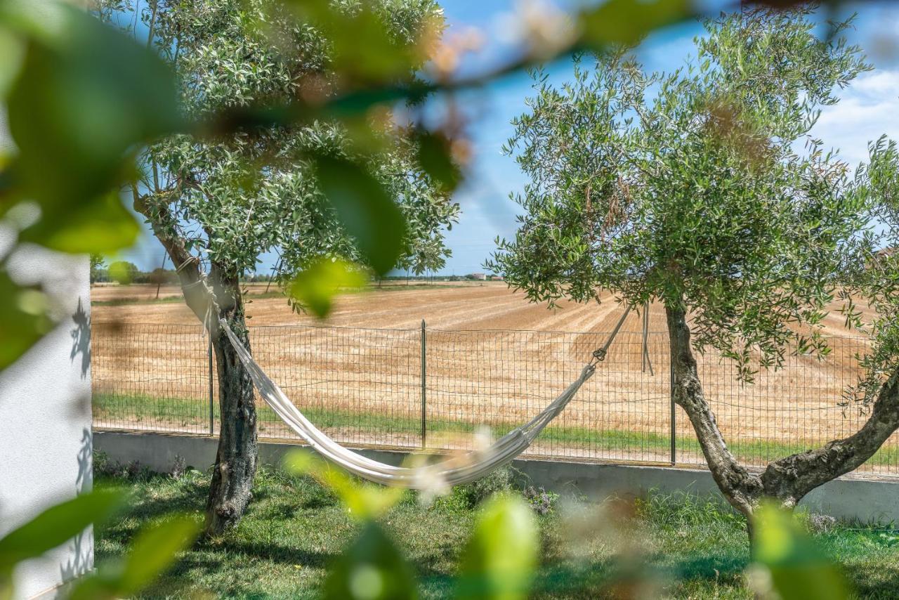 Ortopi Country Canapa House Porto Recanati Extérieur photo